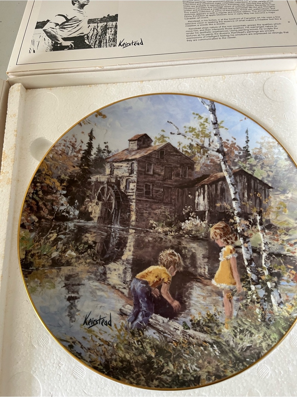 Vintage Scenic Decorative Wall Plate - Brown & Yellow